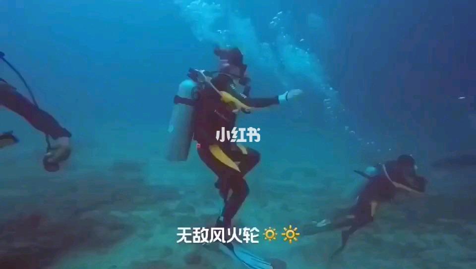 非药学怎么报考执业药师游戏画面